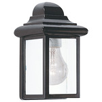 Mullberry Hill Clear Outdoor Wall Light - Black / Clear