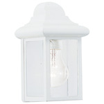 Mullberry Hill Clear Outdoor Wall Light - White / Clear