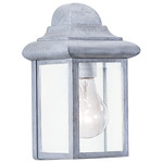 Mullberry Hill Clear Outdoor Wall Light - Pewter / Clear
