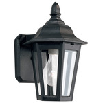 Brentwood Outdoor Wall Light - Black / Clear