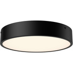 Adelaide Wall / Ceiling Light - Matte Black / Frosted