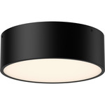 Brisbane Ceiling Light Fixture - Matte Black / Frosted