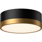 Brisbane Ceiling Light Fixture - Aged Gold / Matte Black / Frosted