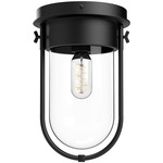 Cyrus Ceiling Light Fixture - Matte Black / Clear