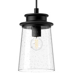Quincy Outdoor Pendant - Textured Black / Clear Bubble