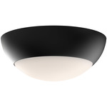 Rubio Ceiling Light Fixture - Matte Black / Opal Matte