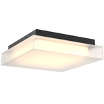 Misty Color Select Ceiling Light - Black