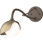 Brooklyn Long Arm Single Shade Wall Sconce - Bronze / Soft Gold