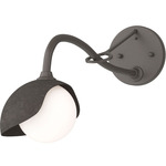 Brooklyn Long Arm Single Shade Wall Sconce - Dark Smoke / Dark Smoke