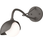 Brooklyn Long Arm Single Shade Wall Sconce - Dark Smoke / Oil Rubbed Bronze