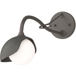 Brooklyn Long Arm Single Shade Wall Sconce - Dark Smoke / Natural Iron