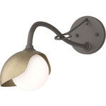 Brooklyn Long Arm Single Shade Wall Sconce - Dark Smoke / Soft Gold