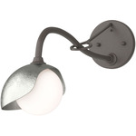 Brooklyn Long Arm Single Shade Wall Sconce - Dark Smoke / Sterling