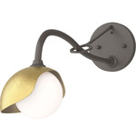 Brooklyn Long Arm Single Shade Wall Sconce - Dark Smoke / Modern Brass