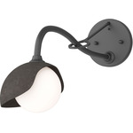 Brooklyn Long Arm Single Shade Wall Sconce - Black / Dark Smoke