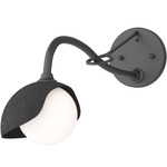 Brooklyn Long Arm Single Shade Wall Sconce - Black / Black
