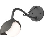 Brooklyn Long Arm Single Shade Wall Sconce - Black / Natural Iron