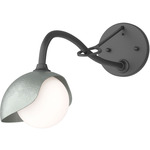 Brooklyn Long Arm Single Shade Wall Sconce - Black / Vintage Platinum