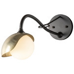 Brooklyn Long Arm Single Shade Wall Sconce - Black / Modern Brass