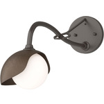 Brooklyn Long Arm Single Shade Wall Sconce - Oil Rubbed Bronze / Bronze