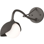 Brooklyn Long Arm Single Shade Wall Sconce - Oil Rubbed Bronze / Dark Smoke