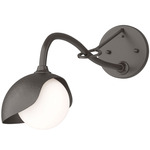 Brooklyn Long Arm Single Shade Wall Sconce - Oil Rubbed Bronze / Oil Rubbed Bronze