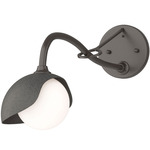 Brooklyn Long Arm Single Shade Wall Sconce - Oil Rubbed Bronze / Natural Iron