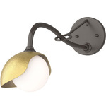 Brooklyn Long Arm Single Shade Wall Sconce - Oil Rubbed Bronze / Modern Brass