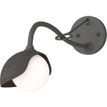 Brooklyn Long Arm Single Shade Wall Sconce - Natural Iron / Dark Smoke
