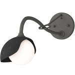 Brooklyn Long Arm Single Shade Wall Sconce - Natural Iron / Black