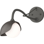 Brooklyn Long Arm Single Shade Wall Sconce - Natural Iron / Oil Rubbed Bronze