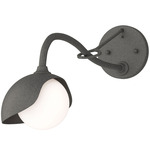 Brooklyn Long Arm Single Shade Wall Sconce - Natural Iron / Natural Iron