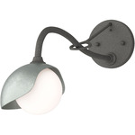 Brooklyn Long Arm Single Shade Wall Sconce - Natural Iron / Vintage Platinum
