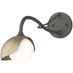 Brooklyn Long Arm Single Shade Wall Sconce - Natural Iron / Soft Gold