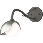 Brooklyn Long Arm Single Shade Wall Sconce - Natural Iron / Sterling