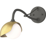 Brooklyn Long Arm Single Shade Wall Sconce - Natural Iron / Modern Brass