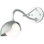 Brooklyn Long Arm Single Shade Wall Sconce - Vintage Platinum / Vintage Platinum