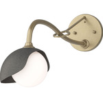 Brooklyn Long Arm Single Shade Wall Sconce - Soft Gold / Natural Iron