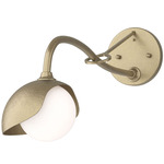 Brooklyn Long Arm Single Shade Wall Sconce - Soft Gold / Soft Gold