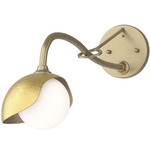 Brooklyn Long Arm Single Shade Wall Sconce - Soft Gold / Modern Brass