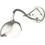 Brooklyn Long Arm Single Shade Wall Sconce - Sterling / Sterling