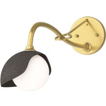 Brooklyn Long Arm Single Shade Wall Sconce - Modern Brass / Dark Smoke