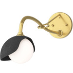 Brooklyn Long Arm Single Shade Wall Sconce - Modern Brass / Black