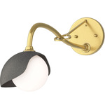 Brooklyn Long Arm Single Shade Wall Sconce - Modern Brass / Natural Iron