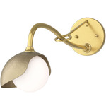 Brooklyn Long Arm Single Shade Wall Sconce - Modern Brass / Soft Gold