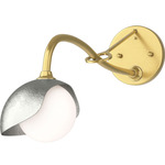 Brooklyn Long Arm Single Shade Wall Sconce - Modern Brass / Sterling