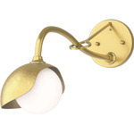 Brooklyn Long Arm Single Shade Wall Sconce - Modern Brass / Modern Brass