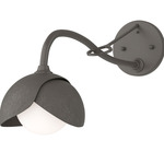 Brooklyn Double Shade Long Arm Wall Sconce - Dark Smoke / Dark Smoke