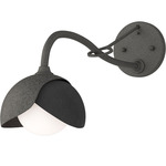 Brooklyn Double Shade Long Arm Wall Sconce - Natural Iron / Black