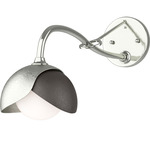 Brooklyn Double Shade Long Arm Wall Sconce - Sterling / Oil Rubbed Bronze